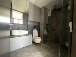 Irwell Hill Residences (D9), Apartment #552402021